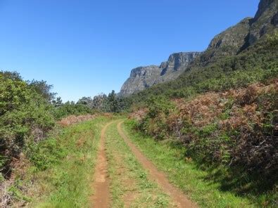 Hiking in Newlands Forest – No Speed Limit