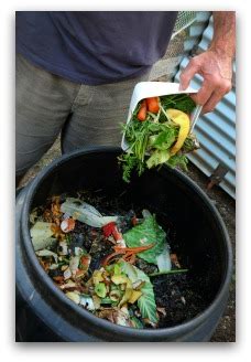 Ingredients for Organic Fertilizer Using Compost