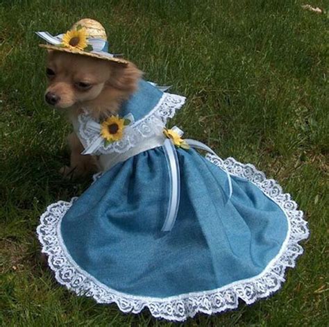 Chihuahua Dresses - Chihuahua Clothes