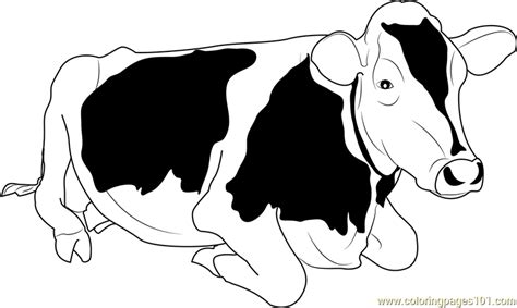 Jersey Cow Coloring Page