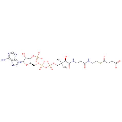 Succinyl Coa Structure