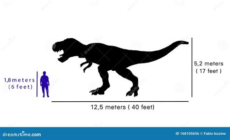 Tyrannosaurus Size Comparison Royalty-Free Stock Image | CartoonDealer ...