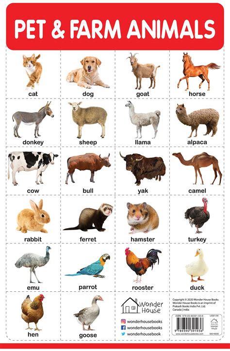 Pet And Farm Animals - My First Early Learning Wall Chart: For Preschool, Kindergarten, Nursery ...