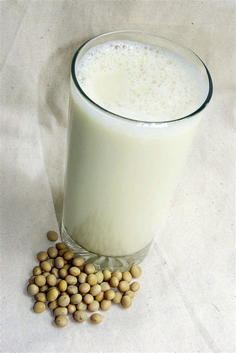 soy milk - Wiktionary, the free dictionary