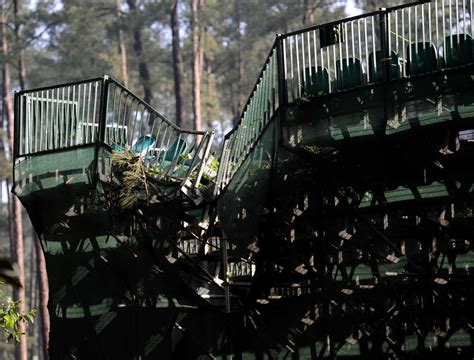 Overnight storm causes delay, some damage at Augusta National | 2022 Masters