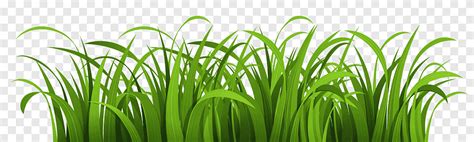 Green grass illustration,, Grass, landscape, cartoon png | PNGEgg