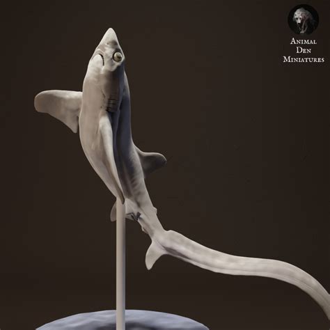 3D Printable Big Eye Thresher Shark Jumping by Animal Den Miniatures