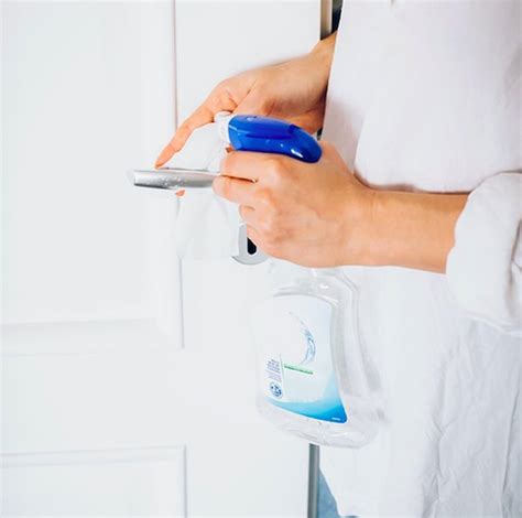 What Is the Difference Between Sanitizing vs. Disinfecting? | Hunker