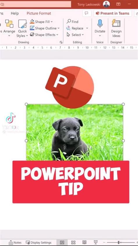 Powerpoint Tips for Creating Creative Presentations