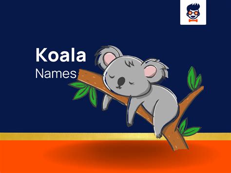 1120+ Koala Names For These Aussie Icons! (+Generator)