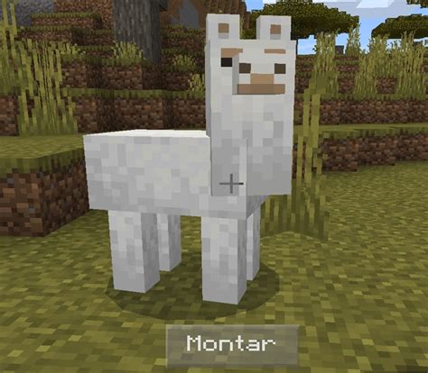 Las Llamas ️ Minecraft Bedrock