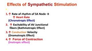 Conductive system of the heart rmc 2 | PPT