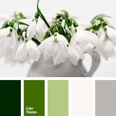 silvery | Color Palette Ideas