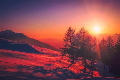 trees during sunset, italy, sunrise, sky, clouds, beautiful, mountains, snow | Piqsels
