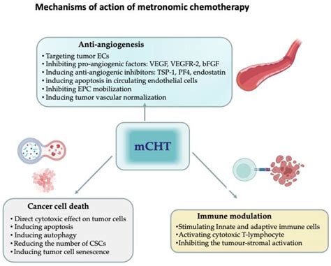 JCM | Free Full-Text | Metronomic Chemotherapy for Metastatic Breast Cancer Treatment: Clinical ...