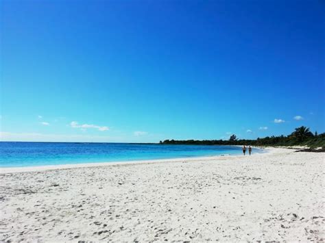 The Best Maroma Beach: White Sand Clear Waters And Lush Vegetation ...