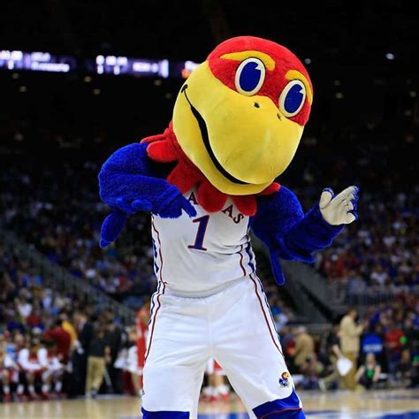 Jayhawk Mascot History