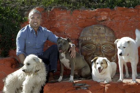 'Dog Whisperer' star Cesar Millan gets dogs -- and himself -- moving - Los Angeles Times