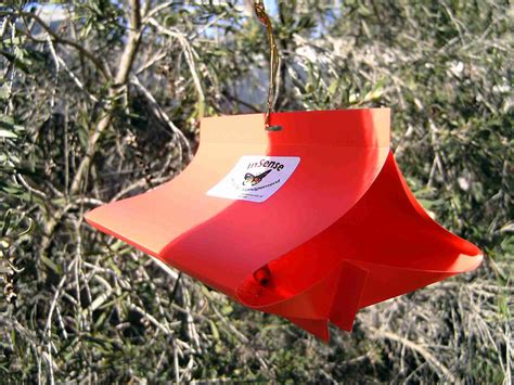 Codling Moth Traps | PlantNet® Australia