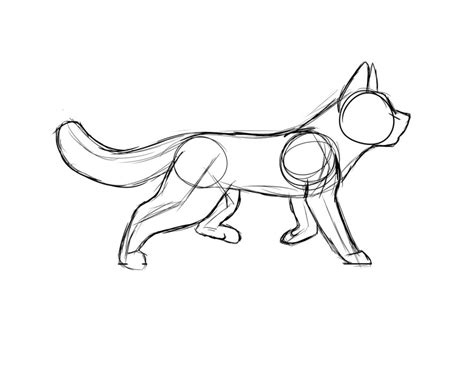 Cat Walk Cycle - Animation Practice by AuraDivine on DeviantArt