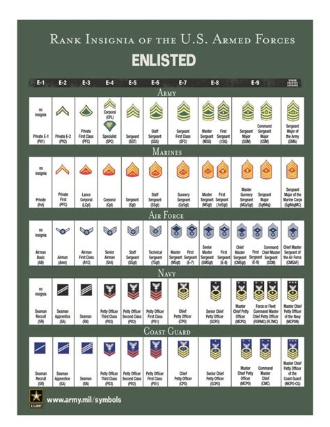 12 best military rank structure charts images on Pinterest | Military ...