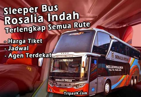 Sleeper Bus Rosalia Indah : Jadwal & Harga Tiket November 2022