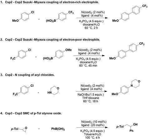 Nickel catalysis: Insights for catalyst selection - InCatT - Innovative Catalyst Technologies