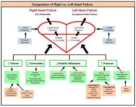 Left Sided Heart Failure Diagram LSH02 | Heart failure, Left sided heart failure, Right sided ...