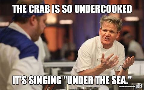 36 best Gordon Ramsay Memes images on Pinterest | Ha ha, Funny things and Funny stuff