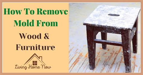 How To Remove Mold From Wood Furniture-Complete Guide