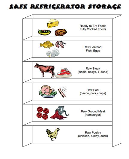 Printable Raw Food Storage Chart | My XXX Hot Girl