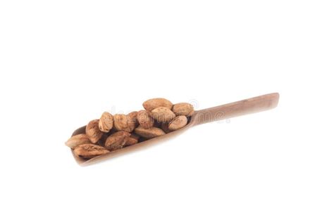 Almond seed stock photo. Image of bottle, delicious - 143817814