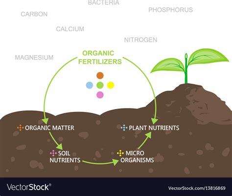 Diagram of nutrients in organic fertilizers Vector Image