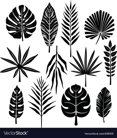 Tropical leaf Royalty Free Vector Image - VectorStock