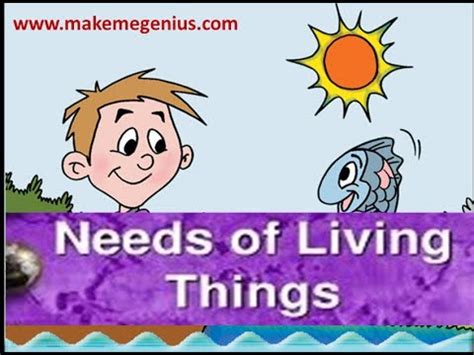 Needs of Living Things Animation Kindergarten Prescoolers Kids - YouTube