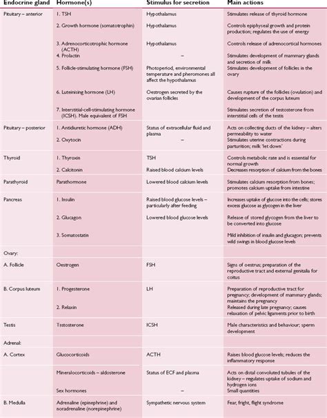 Endocrine Glands And Their Hormones Chart | The Best Porn Website