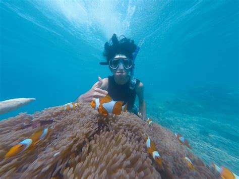 Photo Of People Swimming Underwater · Free Stock Photo