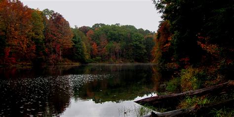 Rose Lake,. . . .Hocking Hills, Ohio | Lake, Nature, Landscape