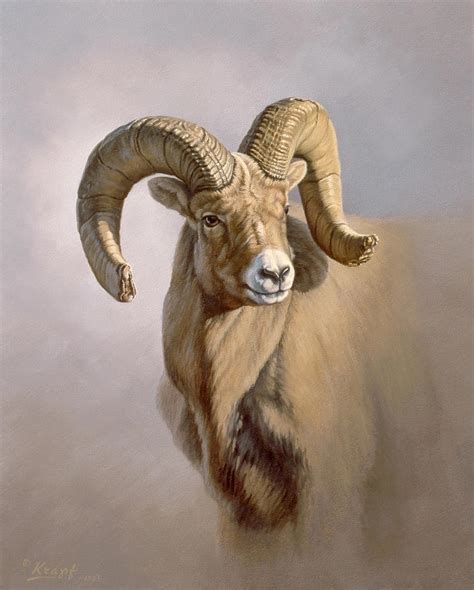 Ram Portrait Painting by Paul Krapf - Pixels