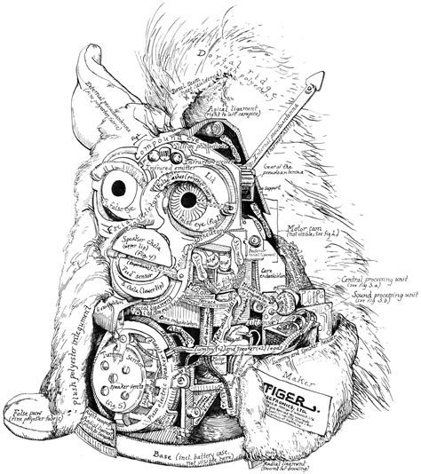 ANATOMY OF THE FURBY(tm) --Kelly Heaton (With images) | Interesting drawings, Technical drawing ...