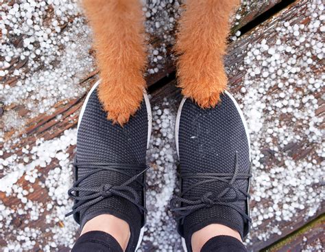 The ULTIMATE Dog Walking Shoes - Miles & Emma