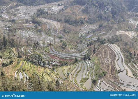 Sunset Over YuanYang Rice Terraces in Yunnan, China, One of the Latest ...