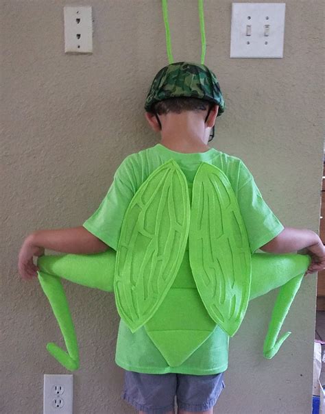 DIY Grasshopper Costume | Insect fancy dress, Kids costumes, Baby fancy dress