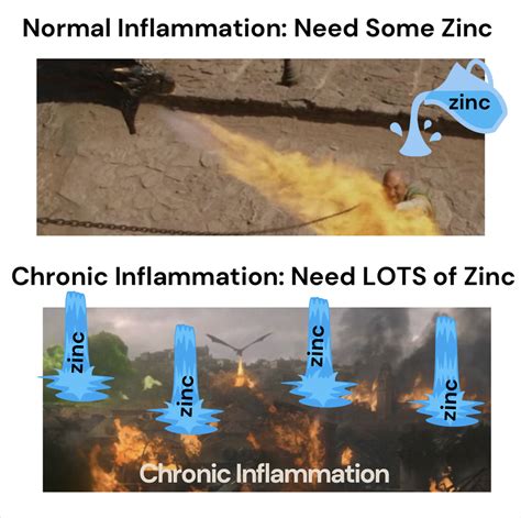 Zinc for Endometriosis — Heal Endo