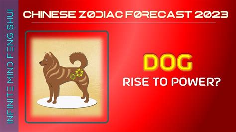 Winner or Loser? - DOG Zodiac Sign Forecast 2023 with Cures - YouTube