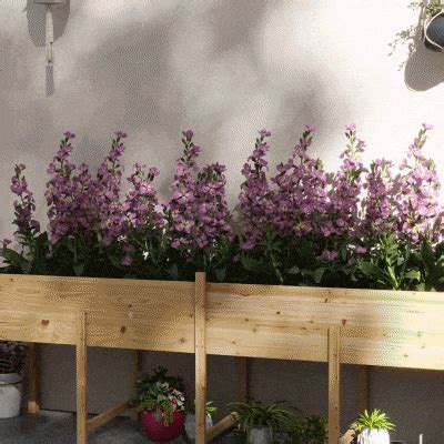 Elevated Garden Beds | Aosom.com