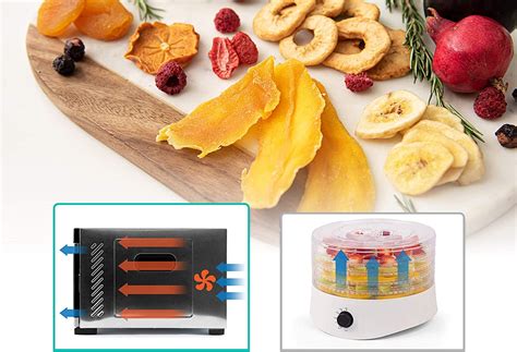 Air Fryer Vs Dehydrator - Similarities And Differences Explained 2023