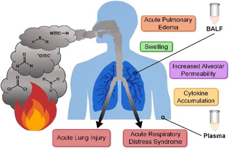 Inhalation Burns