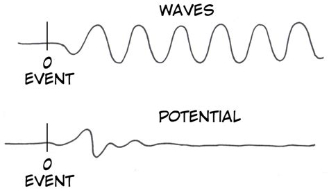 Experiment: The Consciousness Detector - EEG, Oddball Task, and P300