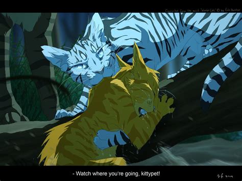 Round And Round We Go... by Mizu-no-Akira on deviantART A kittypet... Longtail and Fireheart ...